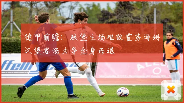德甲前瞻：狼堡主场难敌霍芬海姆汉堡客场力争全身而退