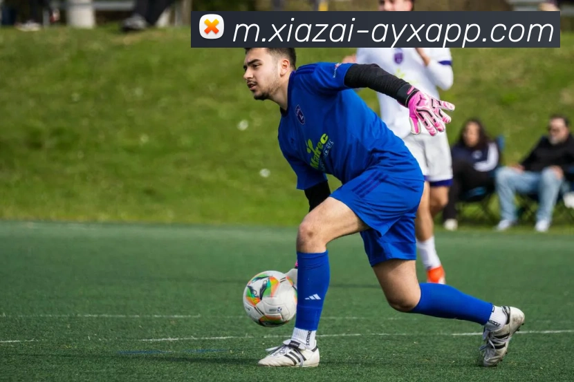 App Interface Preview