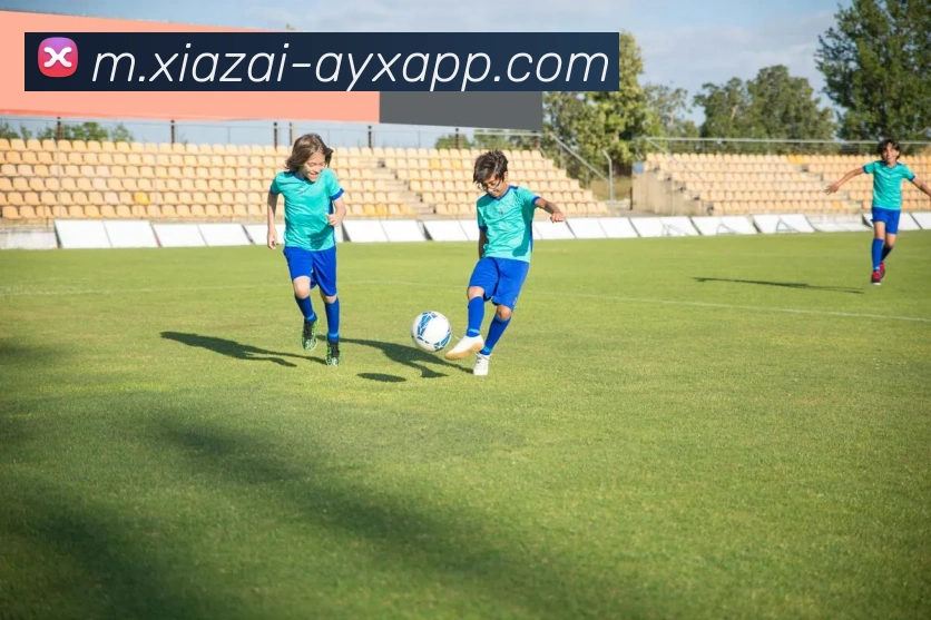 爱游戏APP 封面图